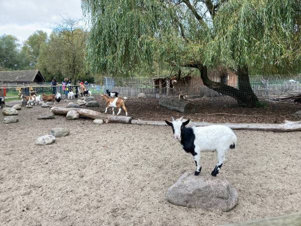 Tierpark Nadermann Delbrück © Touristikzentrale Paderborner Land